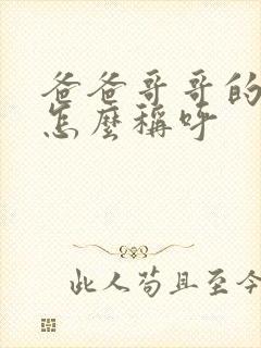 爸爸哥哥的儿子怎么称呼