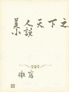 美人天下之囚宫小说