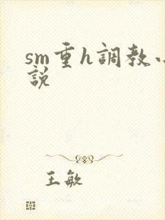sm重h调教小说封面
