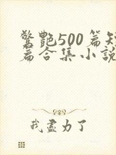 惊艳500篇短篇合集小说在线阅读封面