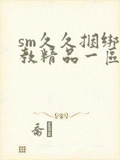 sm久久捆绑调教精品一区