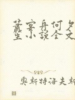 萧宴舟何夕苏晚笙小说全文免费阅读