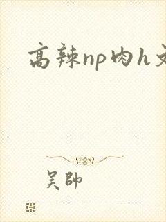 高辣np肉h文