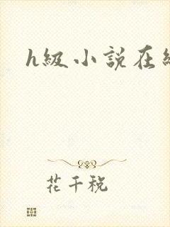 h级小说在线封面