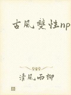 古风双性np文