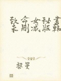 致命女秘书韩剧未删减版韩国