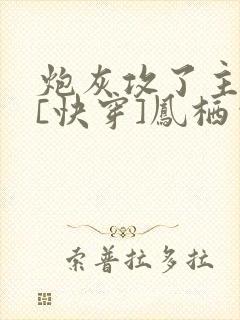 炮灰攻了主角攻[快穿]凤栖云