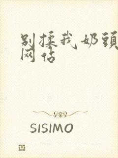 别揉我奶头嗯啊网站