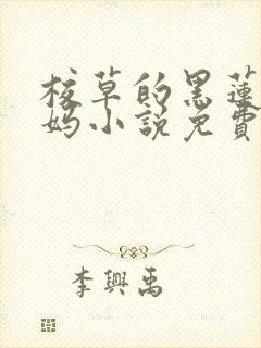 校草的黑莲花亲妈小说免费笔趣阁封面