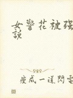 女警花被强暴小说