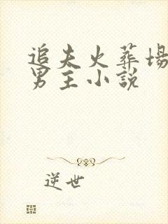 追夫火葬场的双男主小说