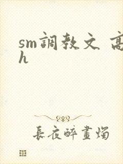 sm调教文 高h