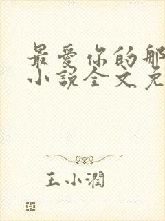 最爱你的那十年小说全文免费阅读