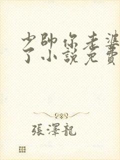 少帅你老婆又跑了小说免费阅读无弹窗