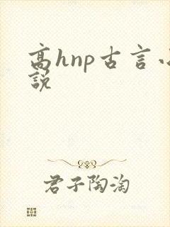高hnp古言小说