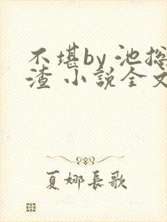 不堪by 池总渣 小说全文免费阅读封面