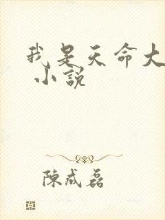 我是天命大反派 小说