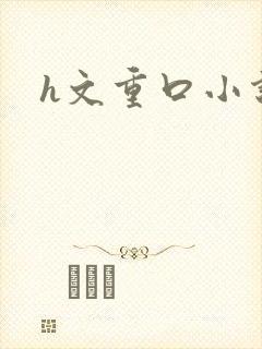 h文重口小说封面