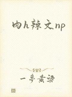 肉h辣文np