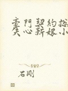 豪门契约总裁的失心新娘小说