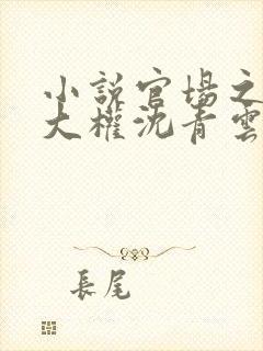 小说官场之绝对大权沈青云