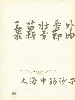 王苗壮番外篇的最新章节内容