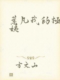 叶凡我的极品小姨