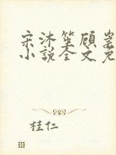 宋沐笙顾崇锦的小说全文免费阅读