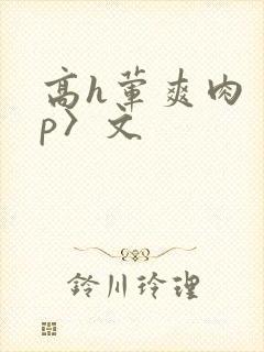 高h荤爽肉〈np〉文