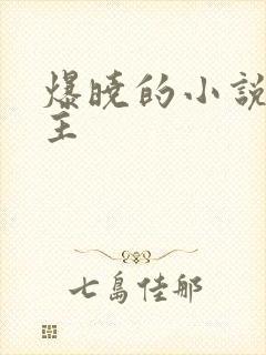 爆晓的小说双女主封面