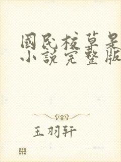 国民校草是女生小说完整版