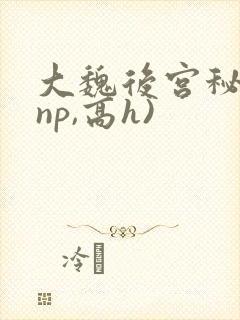 大魏后宫秘史(np,高h)