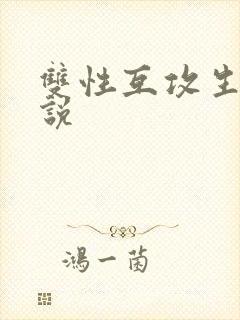 双性互攻生子小说