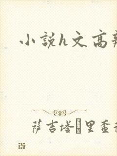 小说h文高辣封面