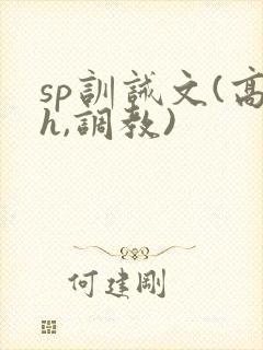 sp训诫文(高h,调教)