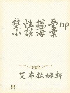双性总受nph小说海棠封面