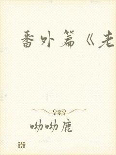 番外篇《老妈》