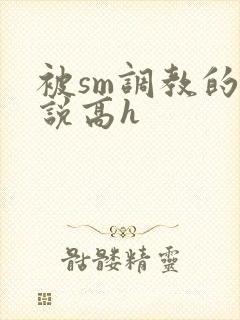 被sm调教的小说高h封面