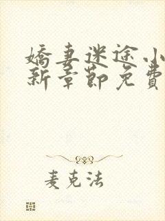 娇妻迷途小说最新章节免费阅读封面