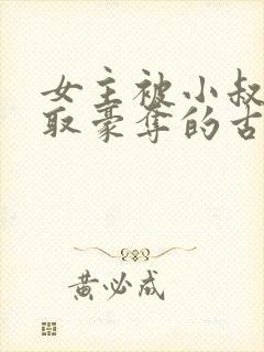 女主被小叔子强取豪夺的古言