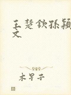 王楚钦孙颖莎h文封面