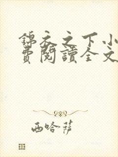 锦衣之下小说免费阅读全文无删减