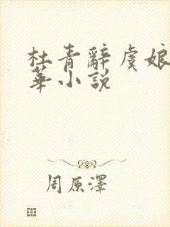 杜青辞虞娘夜重华小说