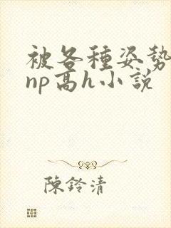 被各种姿势玩弄np高h小说