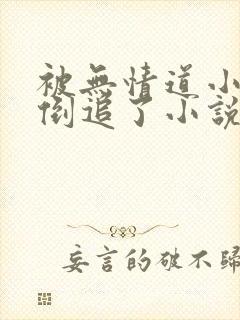 被无情道小师弟倒追了小说免费阅读