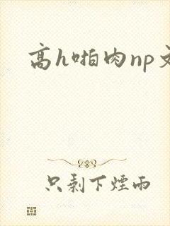 高h啪肉np文