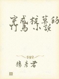 穿成校草的炮灰竹马 小说封面