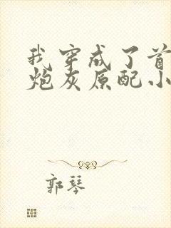 我穿成了首辅的炮灰原配小说