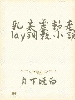 乳夹震动走绳play调教小说