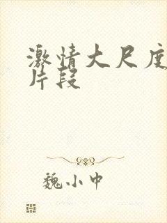 激情大尺度床戏片段